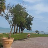 علي, 37 سنة, Al Farwaniyah, Kuwait