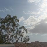 Saleh, 25 سنة, Al Bayda’, Yemen