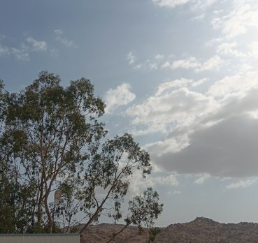 Saleh, 25 سنة, Al Bayda’, Yemen