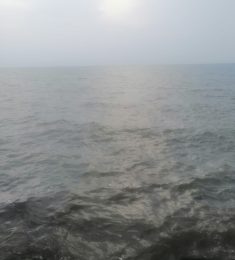 Tyhmsmli7, 37 سنة, رجل