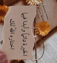 خالد, 35 سنة, رجل