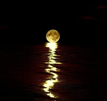 Mtr htan, 41 jaar oud, Ad Dawadimi, Saoedi-Arabië