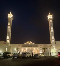 Ali, 22 سنة, رجل