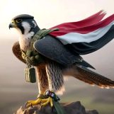 علاء الدين, 20 jaar oud, Albany, Verenigde Staten