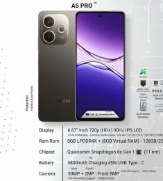 Kashi, 24 jaar oud, Man