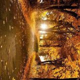 مالك, 20 jaar oud, Amran, Jemen