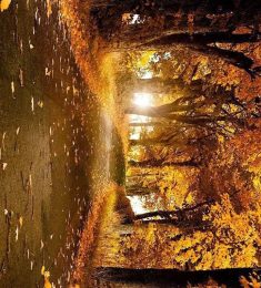 مالك, 20 jaar oud, Man