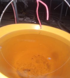 Farhan, 29 jaar oud, Man