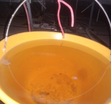 Farhan, 29 jaar oud, Comilla, Bangladesh