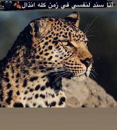 Mohamad, 24 jaar oud, Man