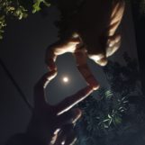 Siam, 25 jaar oud, Comilla, Bangladesh